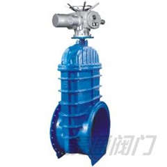 Oversized resilient seated gate valve