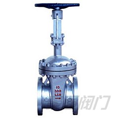 Class 150~600 Cryogenic Gate Valve