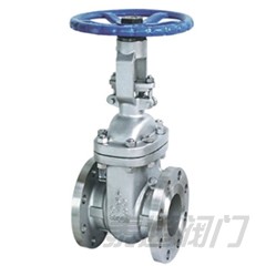 Cryogenic Gate Valve 800Lb