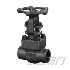 Forged Steel Gate Valve