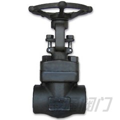 Forged Steel Globe Valve - Globe Valve 800Lb