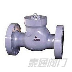 Class 600~2500 Pressure Sealing Swing Check Valve