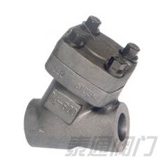 Y-Pattern Piston Check Valve 800Lb