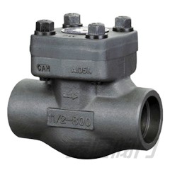 Piston Check Valve(Lift Check Valve)