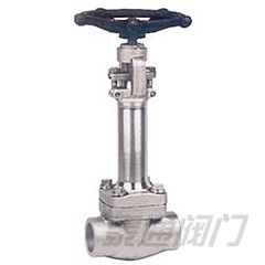 Forged Steel Cryogenic Globe Valve