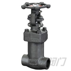 Forged Steel Bellows Valve